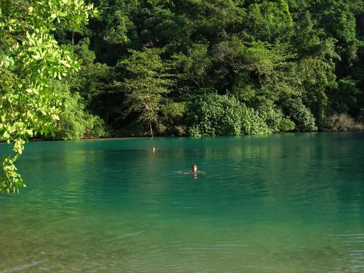 The famously turquoise Blue Lagoon framed by dense tropical greenery