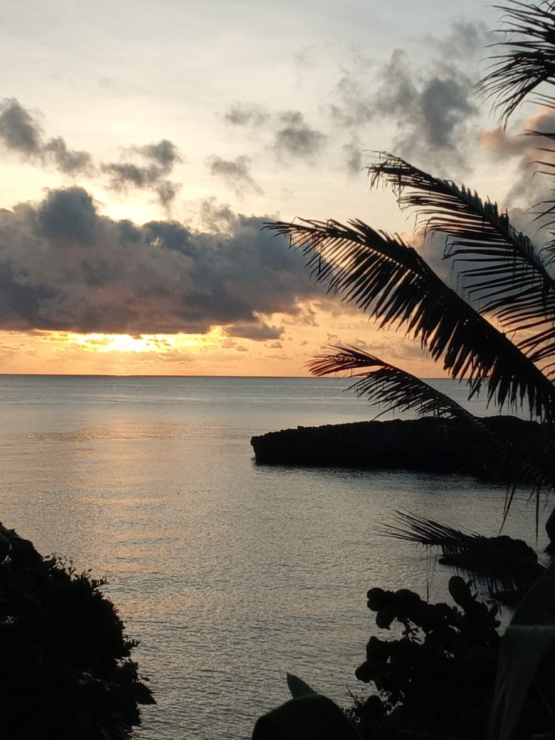 Sunset over the Caribbean Sea framed by a palm frond