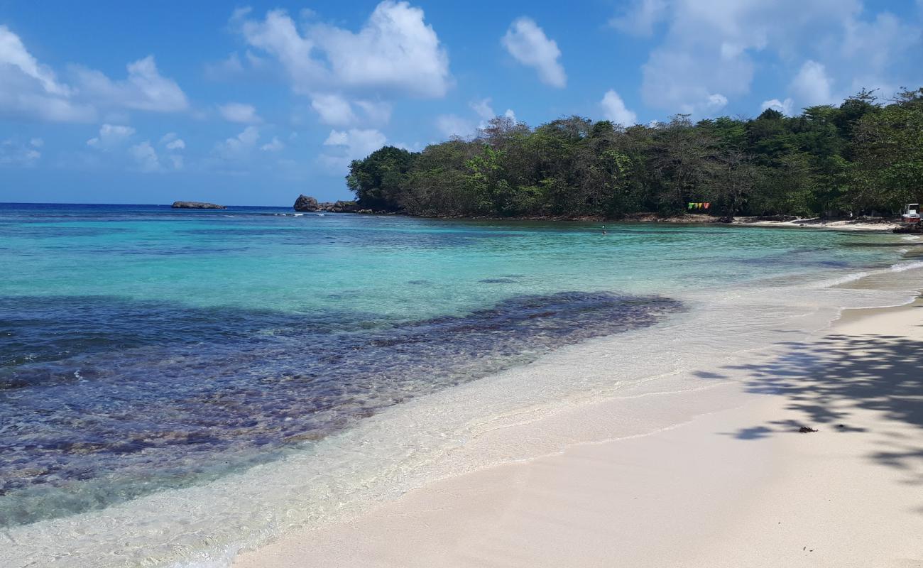 The turquoise water and clear coral shallows of Winnifred Beach (placeholder image — to be replaced)