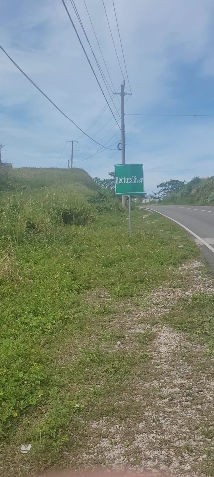 A green Hector's River road sign in the Jamaican countryside